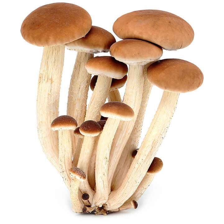 I funghi possono apparire sui tuoi piedi